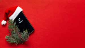 Photo of Get on a billion wish lists this holiday season with TikTok for Business