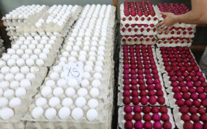 Photo of DA to meet egg producers, traders to discuss price hike 