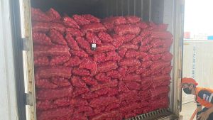 Photo of Only 5,000 MT expected to arrive by onion import deadline