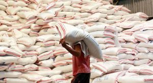 Photo of Well-milled rice prices rise in early Feb.