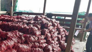 Photo of Onion farmers say millions worth of produce lost in cold storage