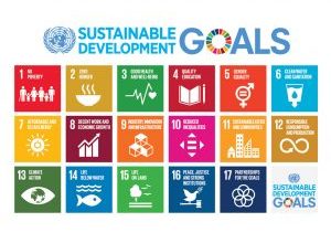 Photo of UN: Consider SDGs in budget planning