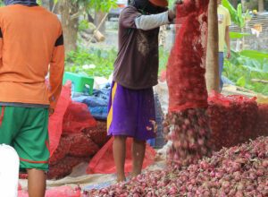 Photo of P2.6M worth of onions sold directly to consumers and institutions — DA