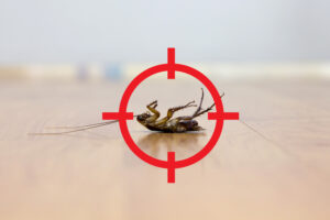 Photo of What You Need to Know About Running a Pest Control Business
