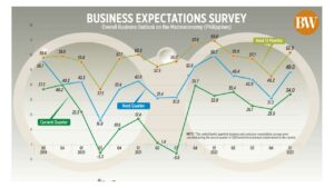 Photo of Business expectations survey