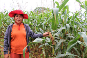 Photo of Isabela corn farmer enjoys bountiful harvest with LANDBANK’s aid