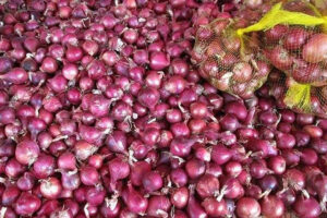 Photo of Indian gov’t agencies to buy red onions as prices plunge