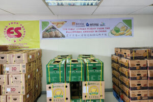 Photo of Cotabato province joins durian export bandwagon to China