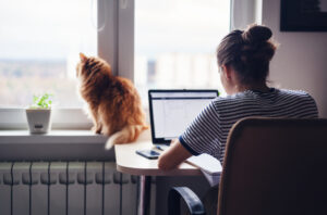 Photo of Remote working could hinder the skills development of employees