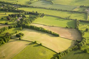 Photo of Investors descend on safety greener pastures driving value of arable farmland to record high