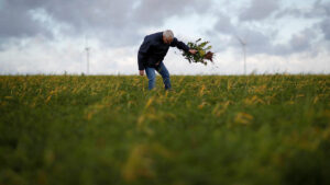 Photo of French court bans sale of glyphosate-based weedkillers