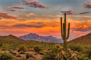 Photo of Moving To Arizona? Pay Attention To These Useful Tips