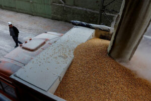 Photo of Ukraine has ‘plan B’ to continue exports if grain deal collapses