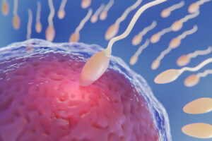 Photo of Don’t squander a key advance in fertility research