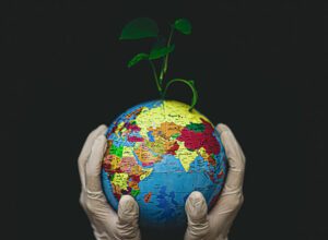 Photo of Save the Earth, save on taxes