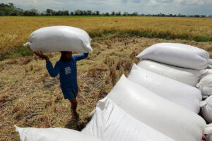 Photo of Rice export curbs give farmers room to hike prices