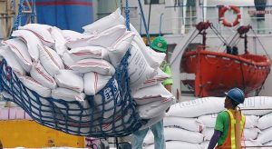 Photo of Rice imports down 42% on higher international prices