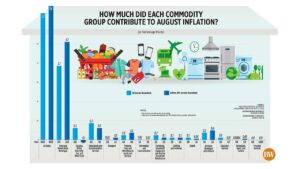 Photo of How much did each commodity group contribute to August inflation?