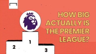 Photo of Is the Premier League a profitable business?