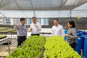Photo of Robinsons Offices teams up with FarmTop to set up ‘sky farms’ in buildings