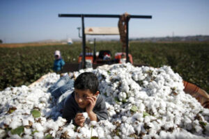 Photo of How can sustainable agriculture make the fashion industry greener?