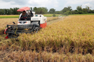 Photo of Agricultural output falls 0.3% in Q3