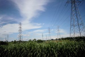 Photo of NGCP sees Cebu-Bohol 230-kV link project completed in 2024