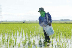 Photo of Farmers call for improved agri data system