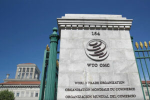 Photo of ‘Not in dreamland’: WTO aims for modest outcomes at Abu Dhabi meeting