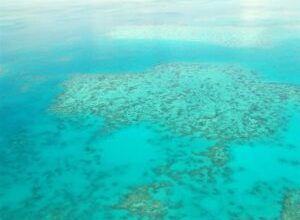 Photo of Australia’s Great Barrier Reef suffers major coral bleaching