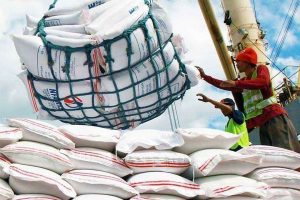 Photo of Reducing rice imports to require larger farms, more mechanization