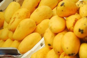 Photo of Second mango shipment due for delivery to Australia this month