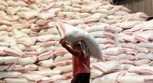 Photo of Philippine rice inventory up by 6.8%