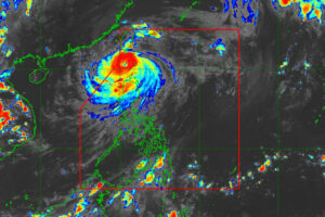 Photo of Crop insurance payouts expected for over 10,000 farmers following typhoon