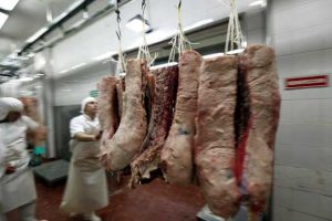 Photo of Meat imports up 11.06% by volume in August