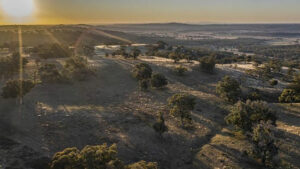 Photo of ACEN to build major wind farm in New South Wales, Australia