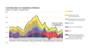 Photo of Twists and turns in the Year of the Snake