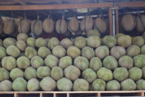 Photo of Durian exporter ships P8.2-M order to China