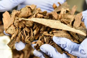 Photo of Customs seizes smuggled agarwood