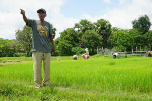 Photo of Cambodia cites rice as possible avenue for expanding economic ties with PHL