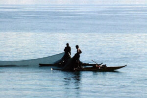 Photo of Fisheries output decline seen heralding food security crisis