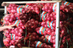 Photo of Low onion inventories trigger import order for 4,000 MT