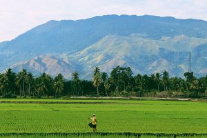 Photo of World Bank extends land titling loan