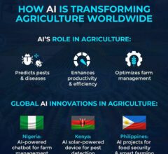 Photo of Bytes and Bites: How AI and agriculture can shape a sustainable future