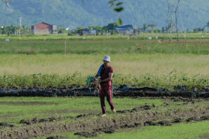 Photo of Marcos: Government investing in infra to boost food security