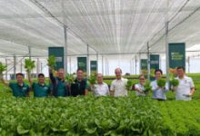 Photo of MPIC unit opens 3.5-hectare Bulacan greenhouse complex