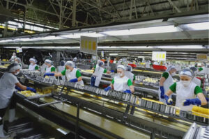 Photo of DMPL seeks investor after rejecting $45-M settlement contribution