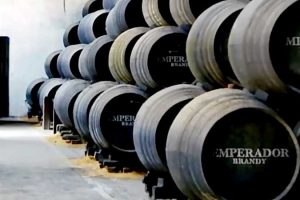 Photo of Emperador expands farmland and distilleries, sees increased Q1 profits