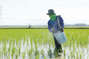 Photo of Fertilizer regulator bats for expanded powers
