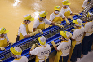 Photo of Over 90,000 labor inspections conducted since 2022